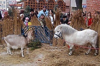 Świąteczne Spotkania Elblążan
