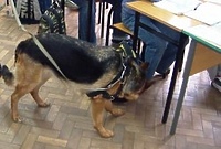 Szkoła bez narkotyków