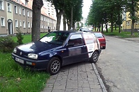 Łosie na drodze, czyli parkowanie po elbląsku