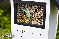 Budki i domki zastąpią im naturalne kryjówki