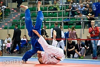 Judocy lubią brąz
