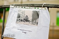 Jak promować Elbląg? Pomysłów jest sporo