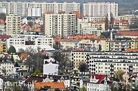 Tanie mieszkania na wynajem w Elblągu?