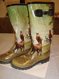 Te konie to niezły konik