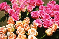 Tego dnia powinnyśmy „leżeć i pachnieć”…