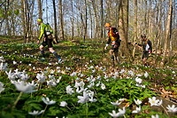 To będzie największa promocja Wysoczyzny Elbląskiej
