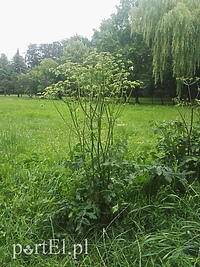 To nie był ten barszcz  (po naszej interwencji)