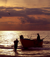 Ryby prosto z kutra dziś i jutro w Elblągu