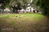 To miejsce upamiętni dawną synagogę