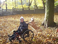 Nierealne marzenie Tomka…