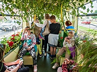 "Tramwaj zielony przez ulice mego miasta mknie..."