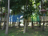 Park linowy: sprawdź czy wygrałeś