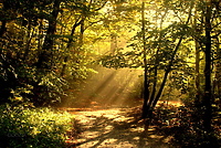 Trzynasta „Sobota z przewodnikiem”