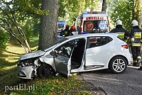 Uderzył w drzewo, bo zapalał papierosa