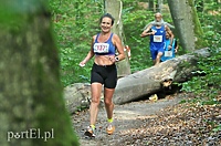 Ultra Wysoczyzna - odkryj nieodkryte! Poznaj Wysoczyznę!