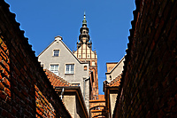 Uroczystości na placu katedralnym