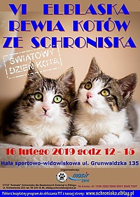 VI Rewia Kotów już w sobotę