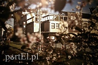 15 lat temu w Elblągu... trwał spór o "Syrenę"