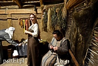 Wieczorne gry, pokazy i wystawy