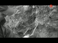 W cieniu zamku - zobacz reportaż!