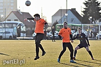 O puchar z Wikielcem