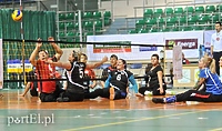 Elbląg Cup, czyli wyjątkowa atmosfera pod siatką