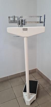 W Elblągu doszło do kradzieży wielkiej wagi