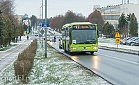 Elektryczne autobusy w Elblągu?