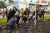 Gdy zakwitną żonkile...