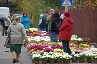 W pogoni za kwiatami i zniczami, czyli ile kosztuje pamięć