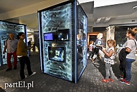 Taka noc zdarza się raz... w roku