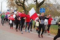 Bieg Niepodległości również w Elblągu