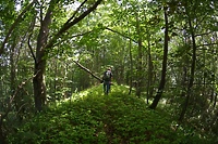 Wakacje z lasem (Opowieści z lasu, odc. 226 )