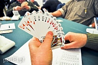 Walentynki przy brydżu