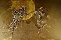 Wernisaż prac Zbigniewa Śmiechowskiego