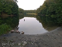 Na rower z portEl.pl: Do Jeleniej Doliny