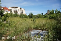 Elbląska "dziura wstydu"