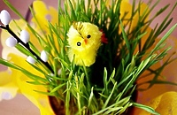 Więcej życzliwości