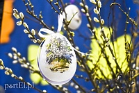 Wielkanoc. Celebrujmy życie!