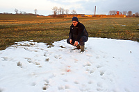 „Wilki zagryzły mojego psa”