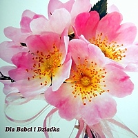 Wkrótce Dzień Babci i Dzień Dziadka