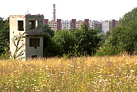 Przyszłość dla Modrzewiny