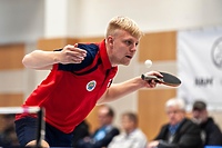 Victoria w Jedlińsku