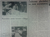 Wojewódzkie zawody latawców w Elblągu