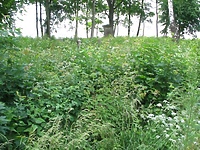 Wójt na zagrodzie...