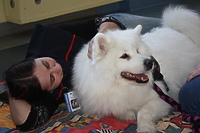 Wolontariusz kynoterapii