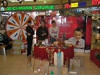 Świąteczne cegiełki dla „Słonika”