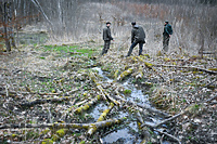 Wspólnie zadbać o przyrodę (Opowieści z lasu, odc. 296)