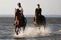 Bezpłatne wakacje w siodle