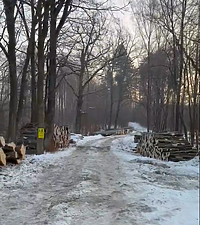 Czytelnik: najpierw piła, potem refleksja?